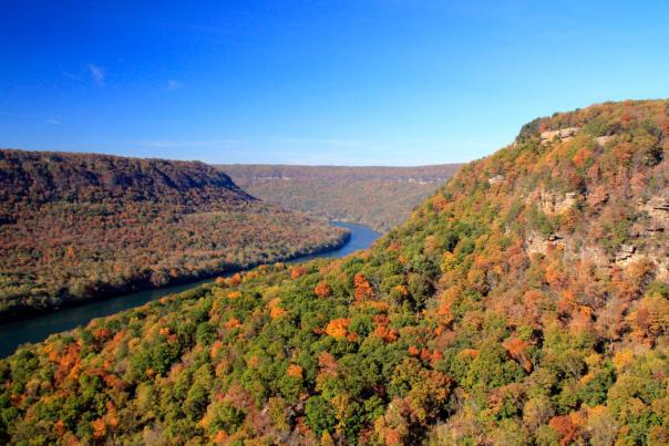 The Tennessee River Gorge