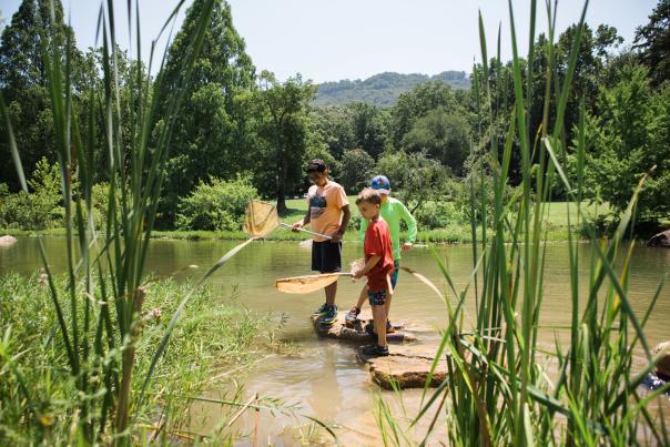 Kids stand on rocks in pond with nets in hands as they search for critters at reflection riding