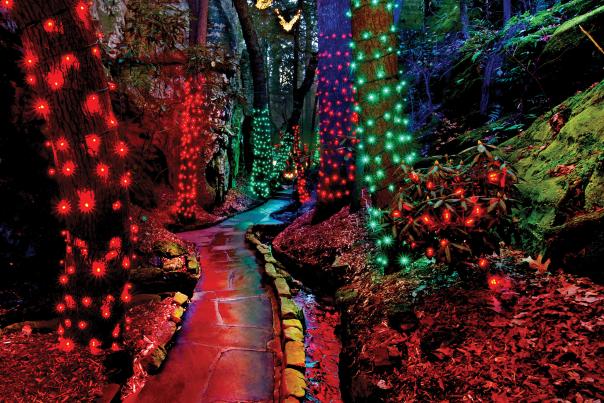 Rock City_Enchanted Garden of Lights_Enchanted Trail