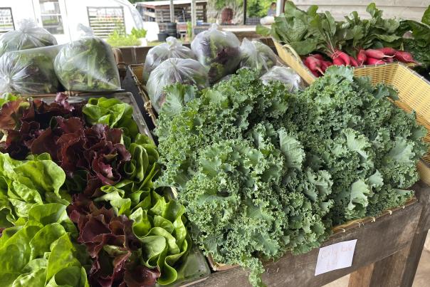 Crabtree Farms Produce Stand