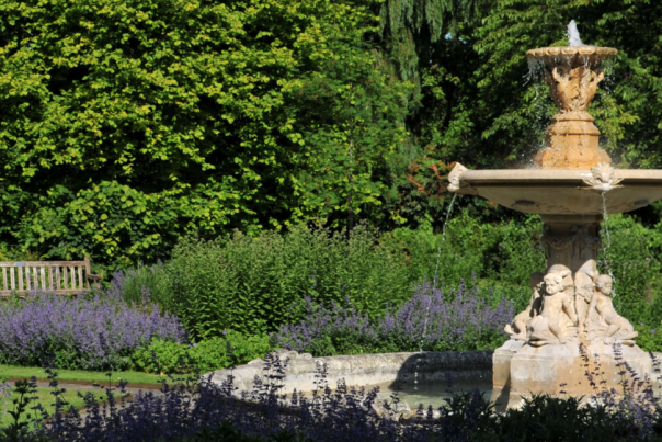 Sandford Park in Cheltenham