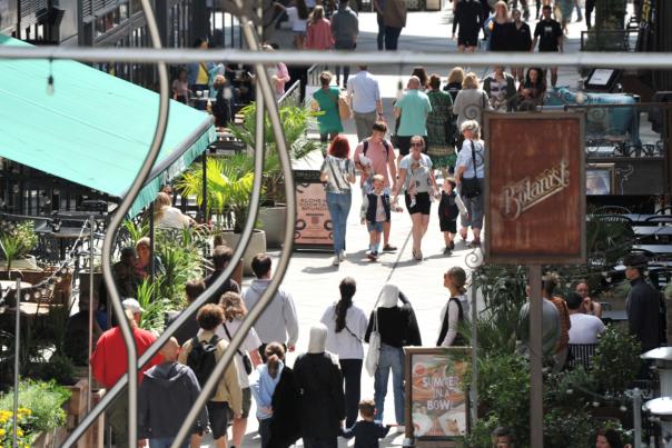 24 reasons to head to Cheltenham in 2024