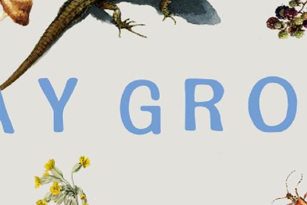 Image with flowers and animals with PLAY GROUND text.