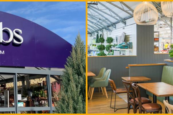 Collage of Webbs Cheltenham exterior sign and cafe interior