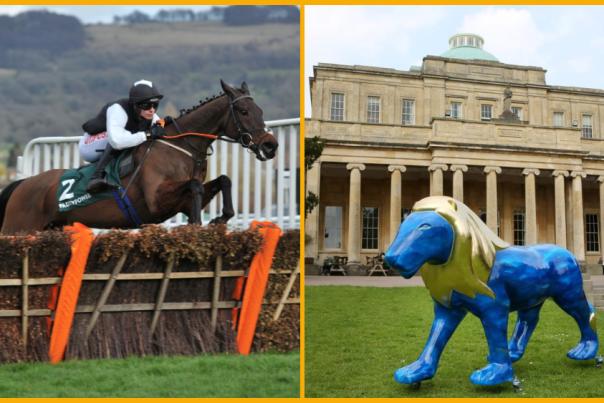 Collage featuring Cheltenham Jazz Festival attendees, horse racing at the Cheltenham Festival, the Lions at Large statue outside Pittville Pump Room, and visitors enjoying drinks at The Nook on Five in Cheltenham.