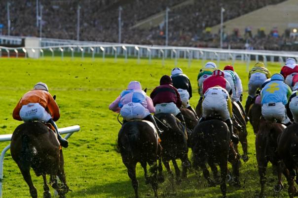Horse racing at the Cheltenham Festival at Cheltenham Racecourse.