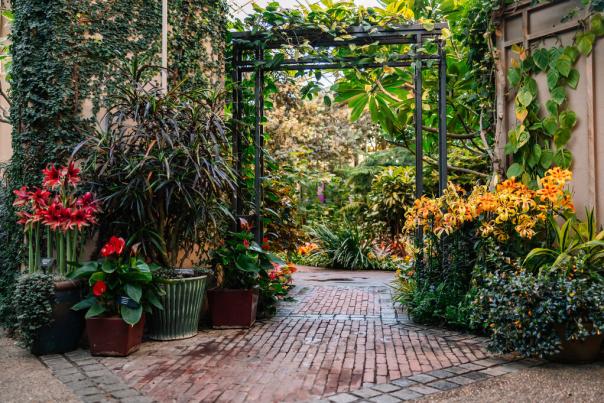 Longwood Gardens Conservatory