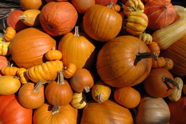 Pumpkins