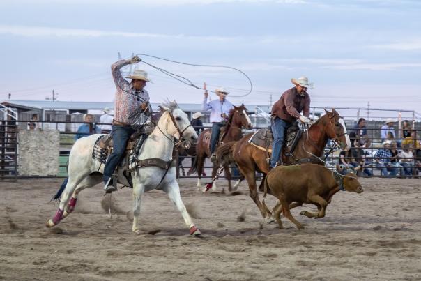Team ropers compete in the hell on wheel rodeo