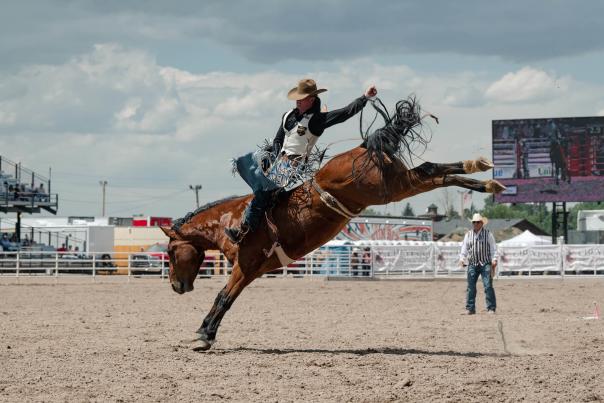 A cowgirl rides a bucking horse bareback during a Cheyenne rodeo.