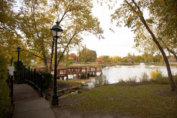 Fall at Kimball Hill Park