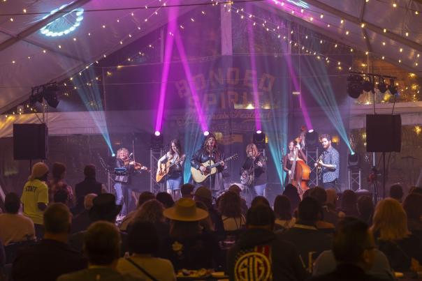 A band performs on stage under purple and teal lights with a crowd in front of the stage.