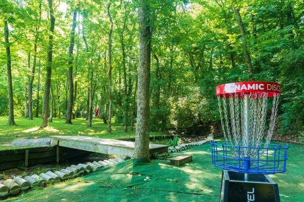 Image is of a disc golf whole in the woods of Idlewild Park