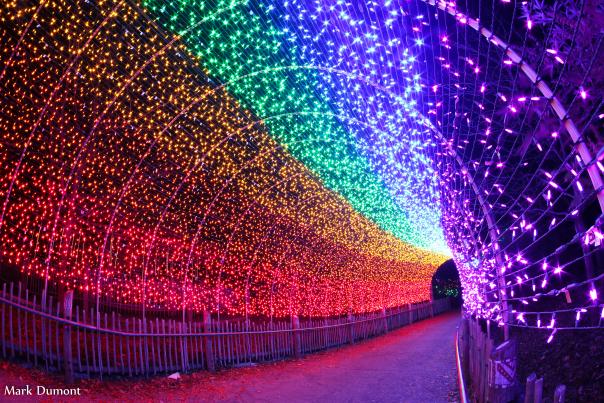 Colorful light tunnel