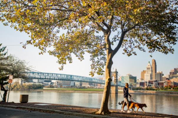 ohio river and roebling