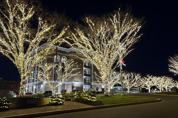 Christmas lights on trees in Public Square