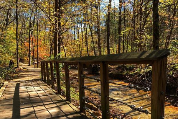 Rotary Park - Fall Bridge