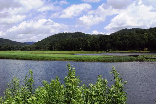 Kettle Creek at Bush Dam