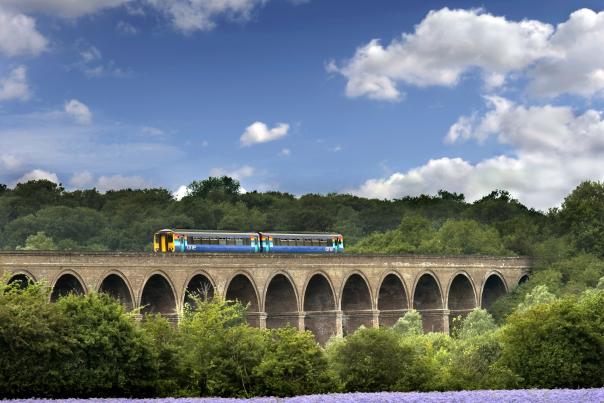 Chappel Viaduct Bluebells Train Photo