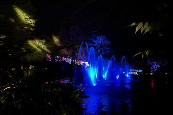 Colchester Zoo: Enchanted Trail of Light Water Fountains