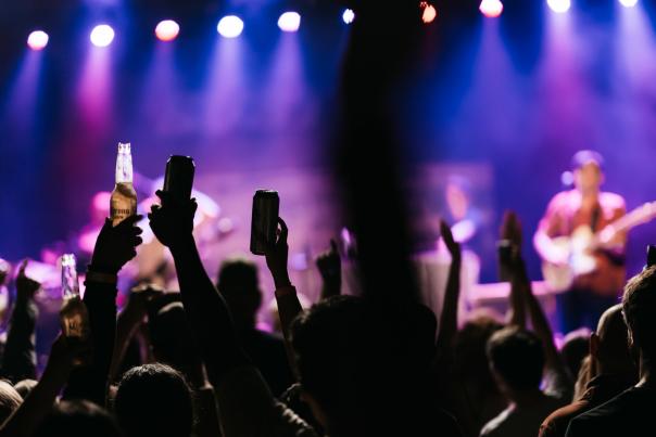 Crowd at a concert