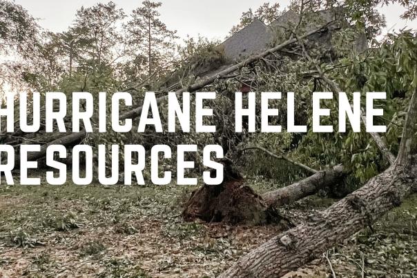 Hurricane Helene Blog Banner