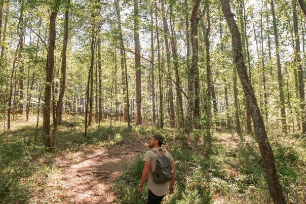Person hiking on trail in wooded area