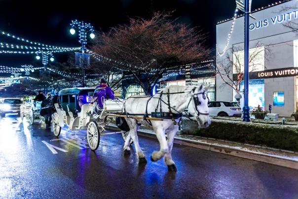 Easton Town Center Carriage Rides