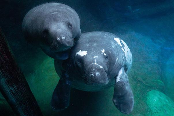 DTN - ROS - Columbus Zoo and Aquarium