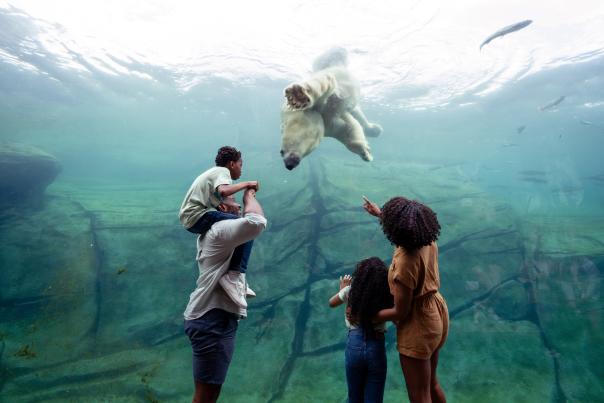 Family at Columbus Zoo and Aquarium
