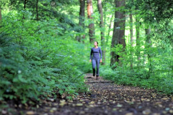 Woman on hiking trail in Hocking Hills forest