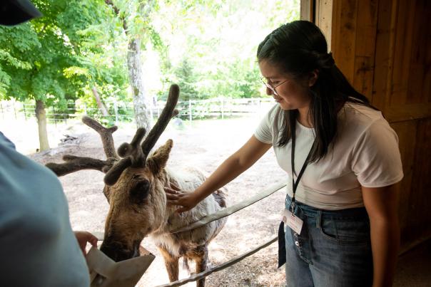 Young woman petting a reindeer.