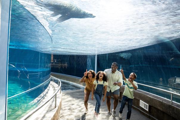Family of four at the Columbus Zoo & Aquarium