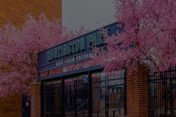 Huntington Park Left Field Entrance surrounded by blooming Cherry Blossom trees