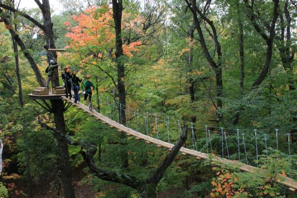 Photo of group zip lining during the fall at Zip Zone in Columbus.