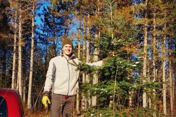 How to harvest the perfect Christmas tree in the Superior National Forest