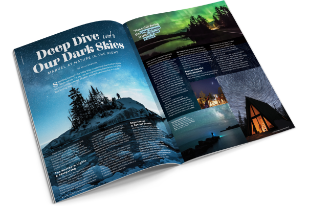 An inside look at the visit cook county visitor guide for 2026 and 2027
