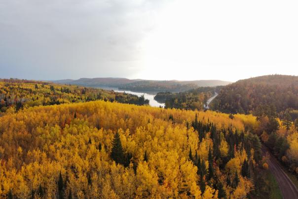 A drone shot of fall colors over a road
