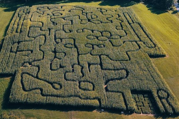 An aerial view of a corn maze in fall.