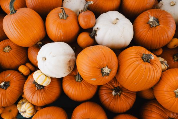 Fall Pumpkins