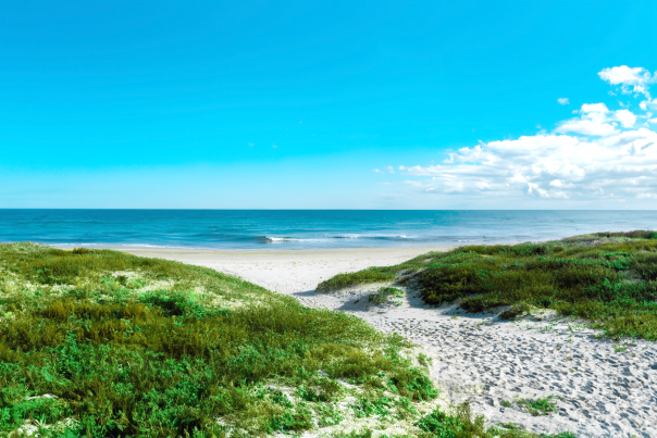 Padre Island National Seashore PINS