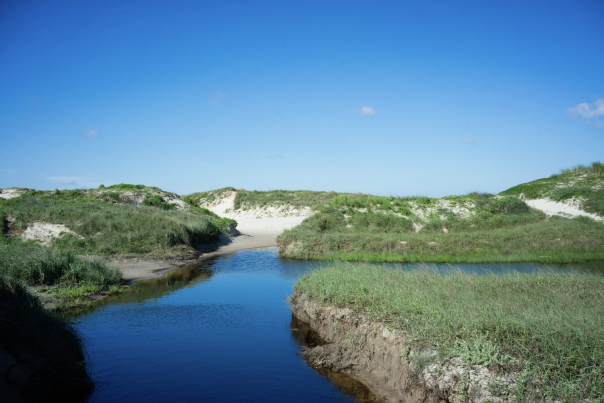Padre Island National Seashore