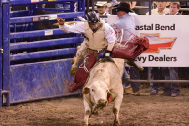 rodeo-corpus-christi-bull-riding.png