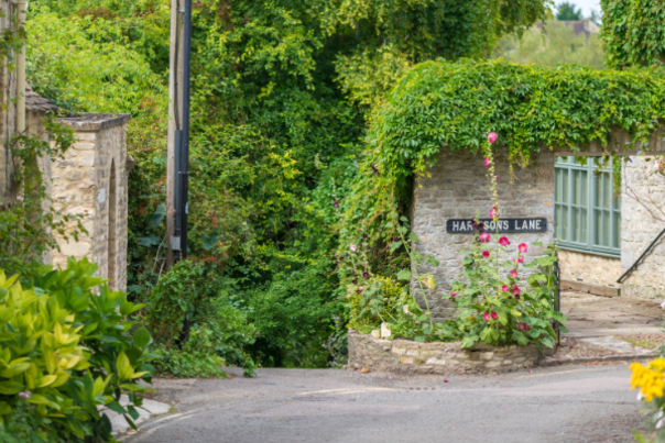 Woodstock street in the summer