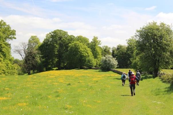 Walk the Cotswolds