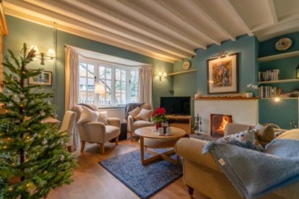 Dog-friendly Christmas