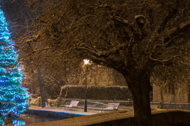 Go Cotswolds Christmas Tours in The Cotswolds