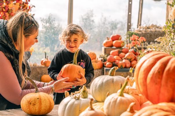 picture of the pumpkin patch at Cotswold Farm Park. Various size pumpkins and a lady and young boy holding a pumpkin.