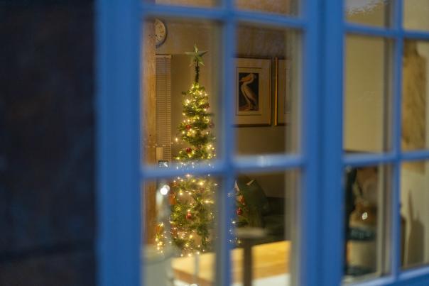 A Christmas tree glows with fairy lights through a cottage window