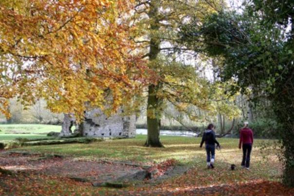 Dog-friendly Autumn Breaks